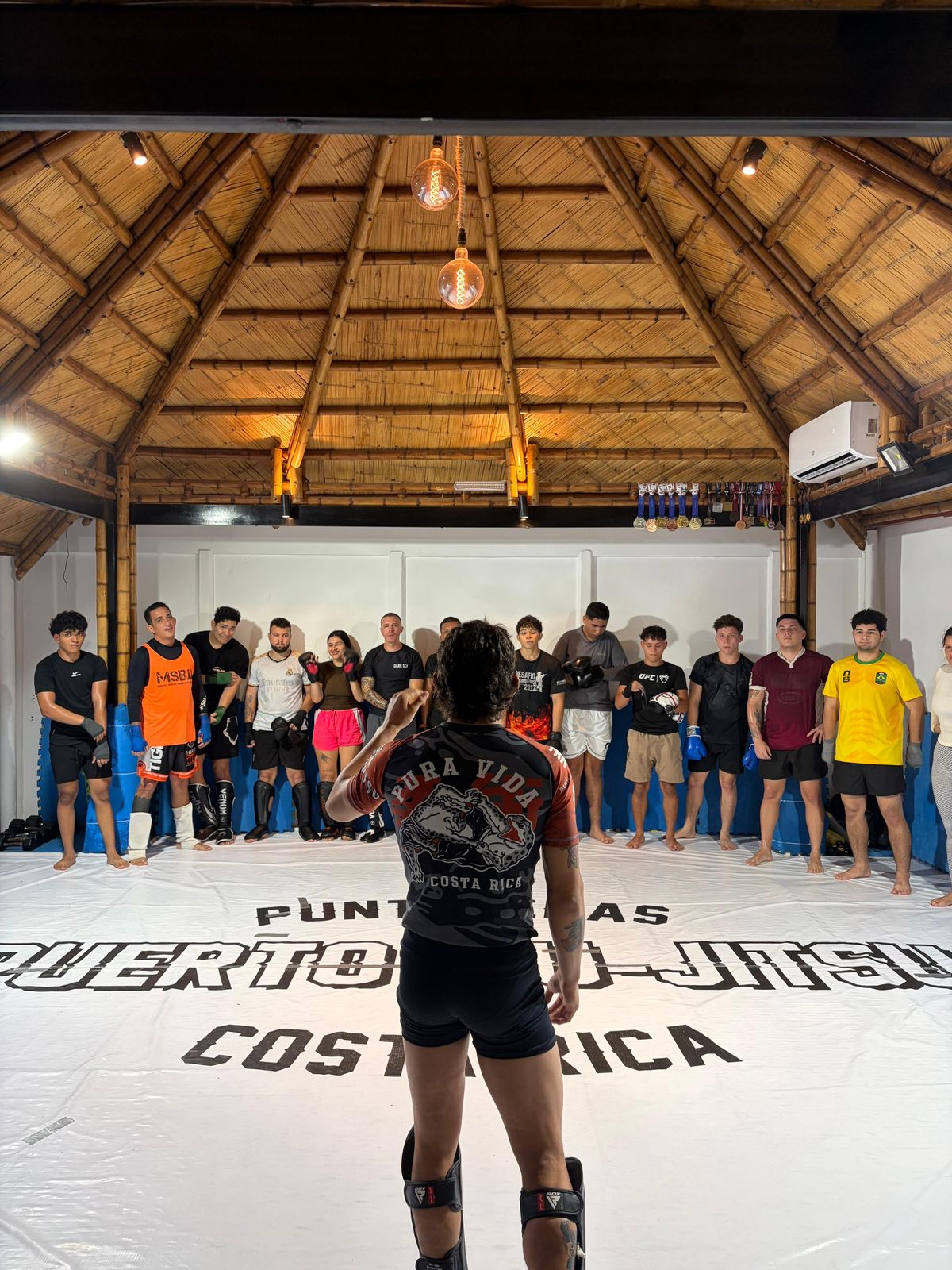 MMA